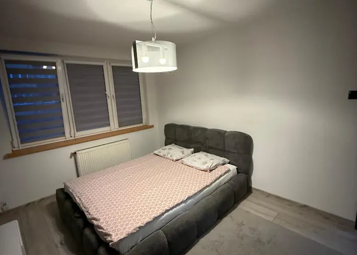 Przyjazny דירה *